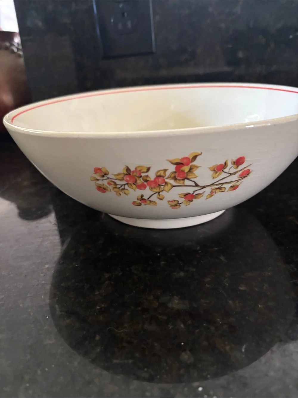 Vintage Bittersweet Pattern Fruit Bowl
